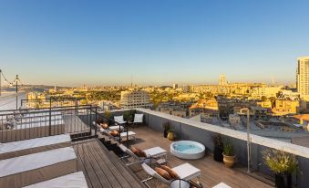 Brown Machne Yehuda