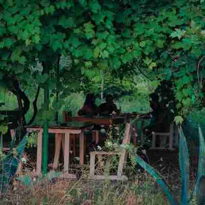 Butterfly Valley Hotel Exterior