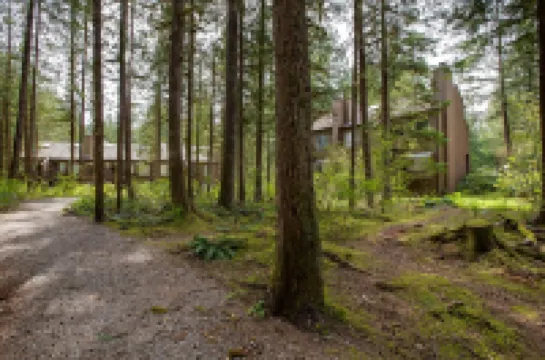 Snowater Condo 59 - A Great Family Condo with a Cabin Feel