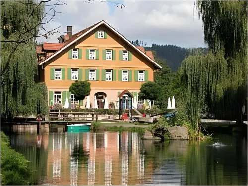 Hotel Zur Alten Mühle - Pet friendly