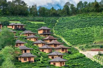 Bodega Pai Hotels in 