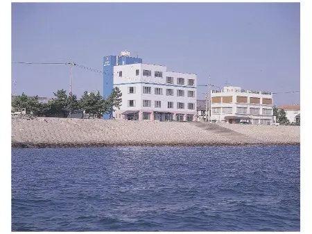 Atsumiya Marine Park Hotel Отели в г. Минамитита