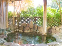 Sawatari Onsen Miyataya Ryokan - con terme