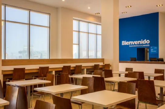 One Chihuahua Fashion Mall