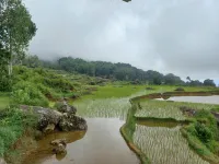 Tongkonan Kale Landorundun Hotels in Rantepao