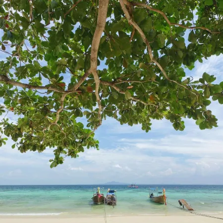 Phi Phi Banyan Villa
