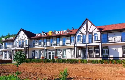 Pana Hotel Hotel a 