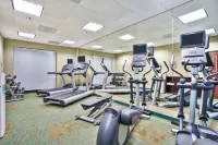 SpringHill Suites by Marriott Chicago Southwest at Burr Ridge/Hinsdale - Kuntosalit