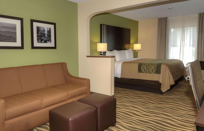 Comfort Inn Near Downtown & Blue Ridge Pkwy