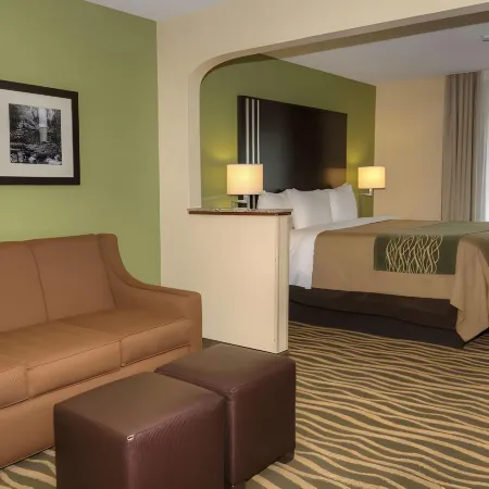 Comfort Inn Near Downtown & Blue Ridge Pkwy