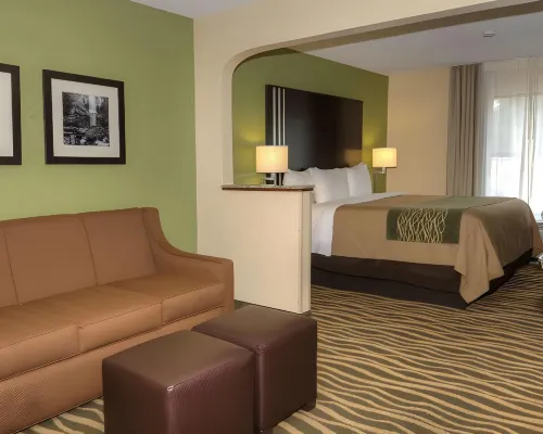 Comfort Inn Near Downtown & Blue Ridge Pkwy Отели в г. Мак-Дауэлл