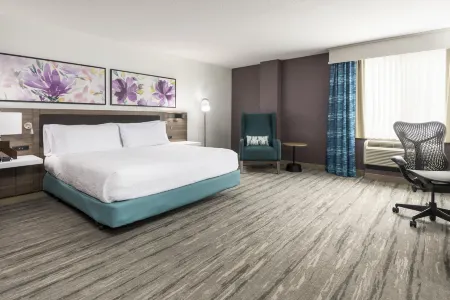 Hilton Garden Inn Lafayette/Cajundome Отели в г. Скотт