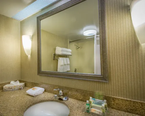 Holiday Inn ARLINGTON AT BALLSTON by IHG Kamar Photos