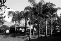 GARDEN OF THE VESUVIUS