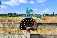 Vintage villa-Country Living Guesthouse