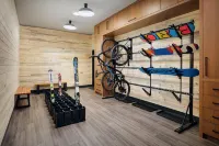 The Hoffmann Hotel Basalt Aspen, Tapestry Collection by Hilton - Fitnessstudio