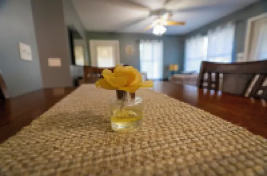 Cozy, Pet Friendly, Professional Host, Convenient Location