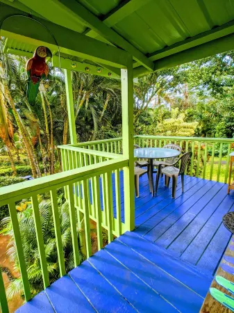 Tropical Studio Apartment! Отели в г. Хавайиан-Парадайс-Парк