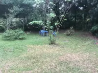 Paula's Place - A property with large lot, fully gated for family fun