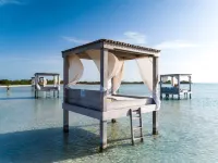 Mahogany Bay Resort & Beach Club, Curio Collection by Hilton - Beach