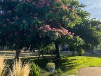 large charming house & garden, secured pool, 5 bedrooms, Niort countryside (79) Hotel a Deux-Sevres