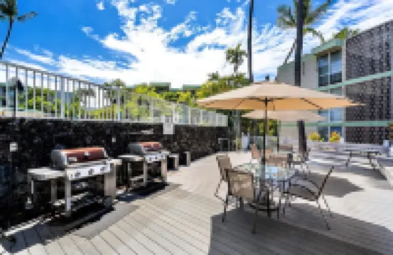 Super Clean~Ocean Front! Watch Whales & Dolphins While Having Your Coffee