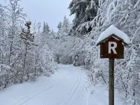 Bright, modern, large vacation apartment on a south-facing slope in a climatic health resort