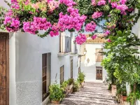 Villa Oliva with private heated pool and amzing views Hotels in Salobrena