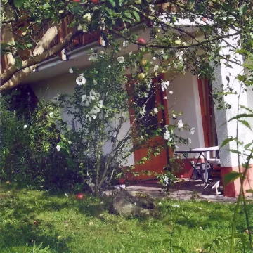 Apartment in a green idyll on the edge of Chemnitz