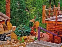 Fawn Haven Cabin Bailey Colorado Huge Deck with View and 1 Acre Fenced Dog Run - Alphydda
