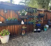 Buena Vista - 1 min to Mcphelemy Park - 2 min walk to downtown - Creek in back!