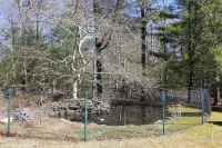 Vacation Getaway - Nature Retreat with Modern Comforts