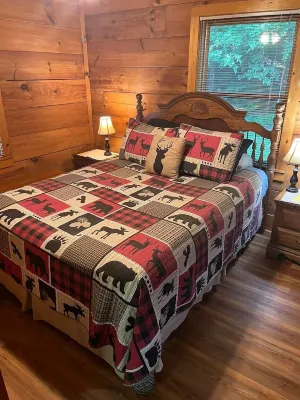 2 Bedroom Cabin  - 2 miles to Parkway