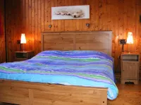 LOVELY AND TIPICAL MOUNTAIN CHALET IN FRONT OF MOUNT BLANC, 800 ME FROM CENTER