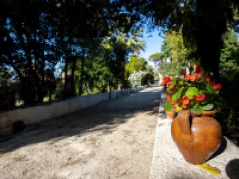 Villa Fontana with Private Pool and Ancient Botanical Park Hotels in Valderice