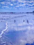 3 Bedroom Condo in Cocoa Beach - 프라이빗 풀