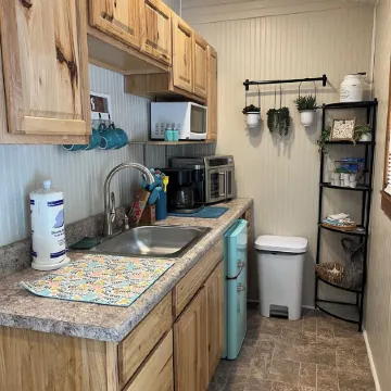 Tiny Cabin in the Laurels, with queen bed & queen sofa bed in wooded setting.