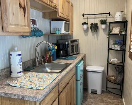 Tiny Cabin in the Laurels, with queen bed & queen sofa bed in wooded setting. Hoteles en Condado de McDowell