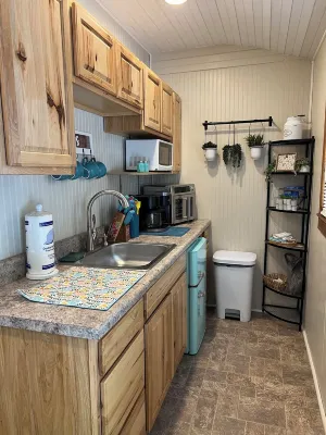 Tiny Cabin in the Laurels, with queen bed & queen sofa bed in wooded setting. Hotels in Marion