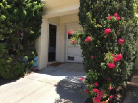 Quiet Garden Apt., geographic center of The City