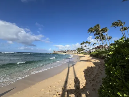 The ‘IMI OLA at Kiahuna Beach - Great Location on Kauai's South Shore -A/C