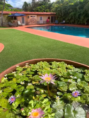 Luxury  Cottage w/ Private Pool. Under The Warm Maui Sun Pmt #BBKM\2016\0004