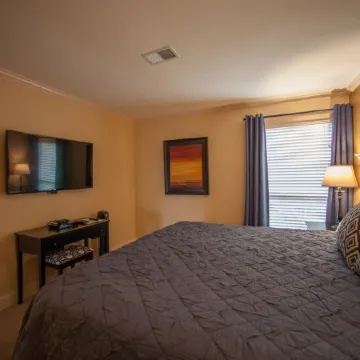 Walk In Level - Beautiful/Clean/Recently Remodeled 1BD/1BA at Pointe Royale