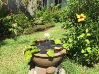 Private well appointed cottage, steps from beach