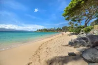 Legendary Estate 50 Steps to Maui’s Best Beach! New! 5 Bedroom, Pool With Slide! - ビーチサイド