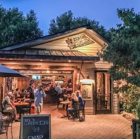 Cabin on Main- Cozy Downtown Burnsville!