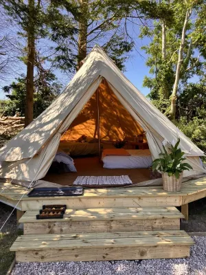 Ballydorn Stay Shepherds Hut with a view - Wi-Fi