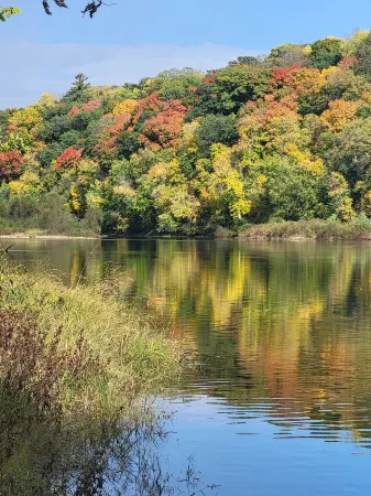 Walking Distance to the St. Croix River & Downtown