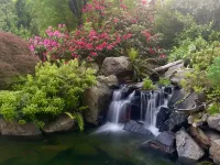 Peaceful Oasis In The Woods. Private deck and entrance.