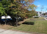 Downtown Victorian Flat Great Location and free Parking